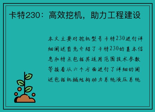 卡特230：高效挖机，助力工程建设